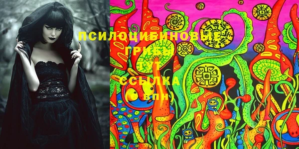 a pvp Алексин